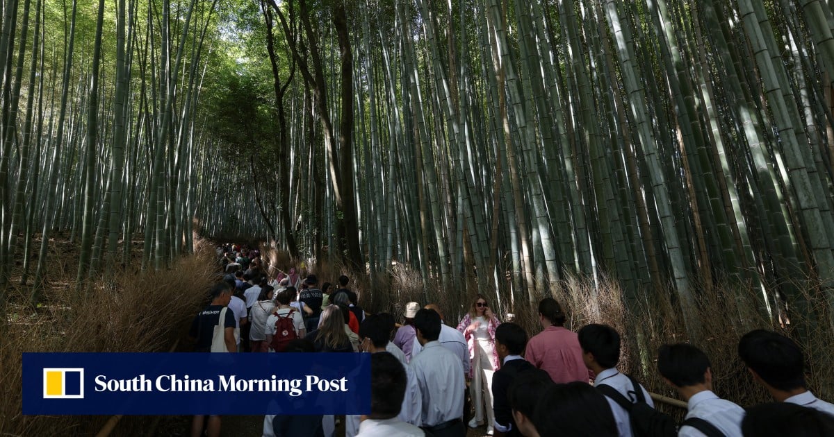 Hong Kong travel firm sees interest in Japan tours drop 20% amid regional tensions