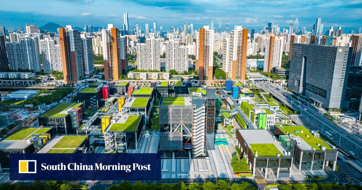 Young tech entrepreneurs enticed by southern China’s innovation hub in Qianhai
