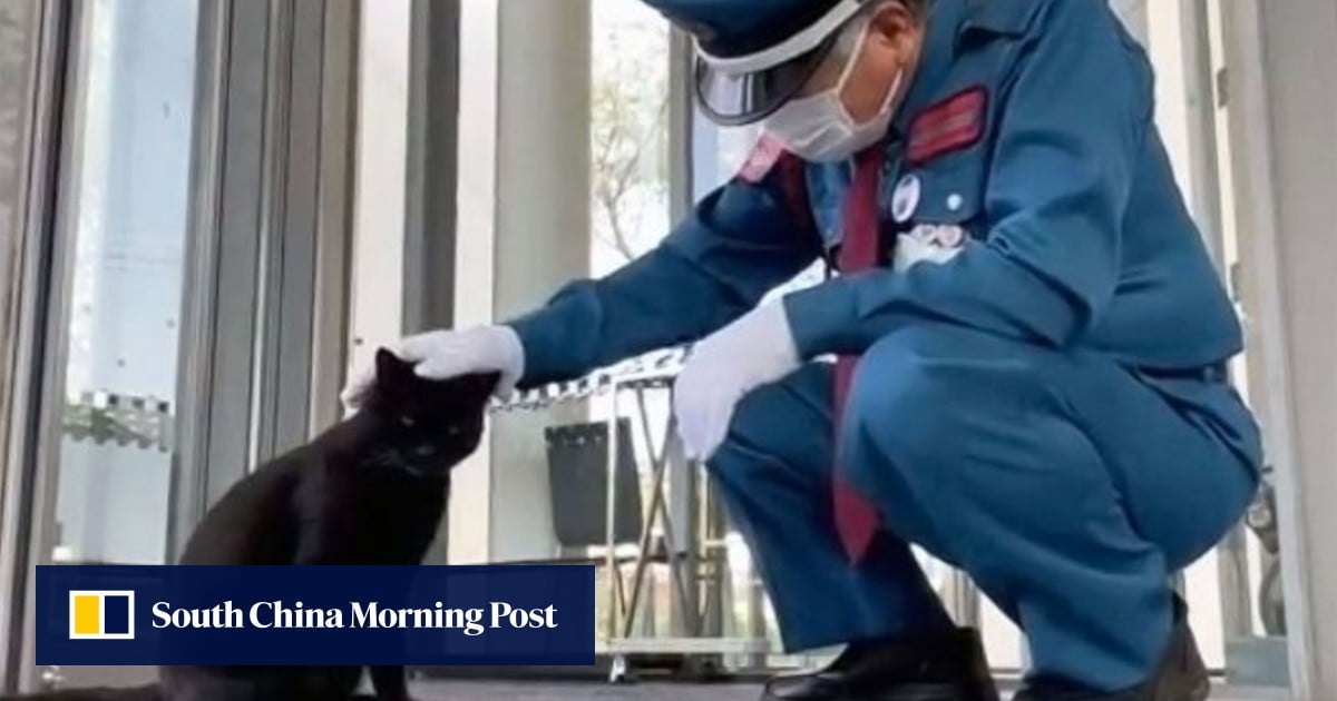 Japan security guard’s bond with cat moves many; museum honours feline’s memory