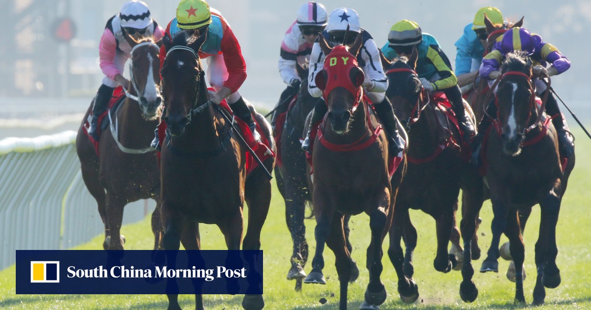 Superstar Ka Ying Rising faces 12 rivals in bid for back-to-back Hong Kong Sprint wins