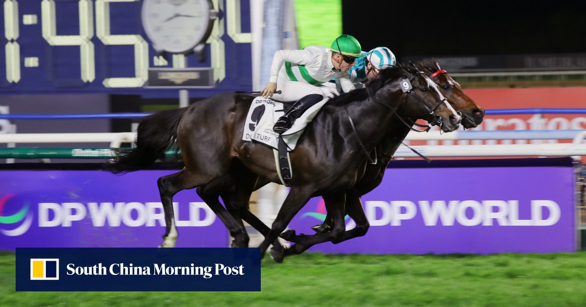 No Calandagan leaves Hong Kong Cup wanting, but HKIR fields still excite