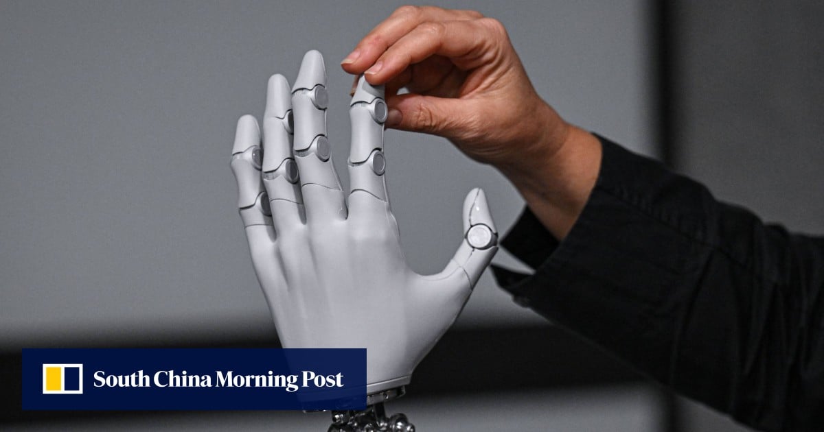 China’s top economic planning agency warns of rise of too many robots