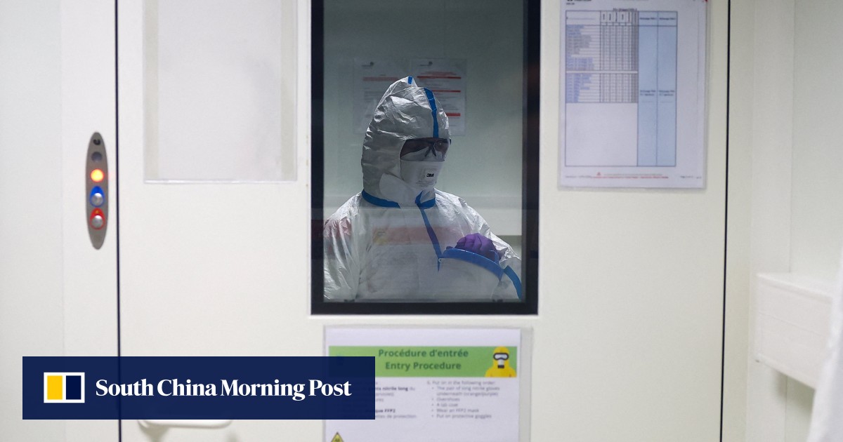 Bird flu could risk pandemic ‘worse than Covid’ if it mutates