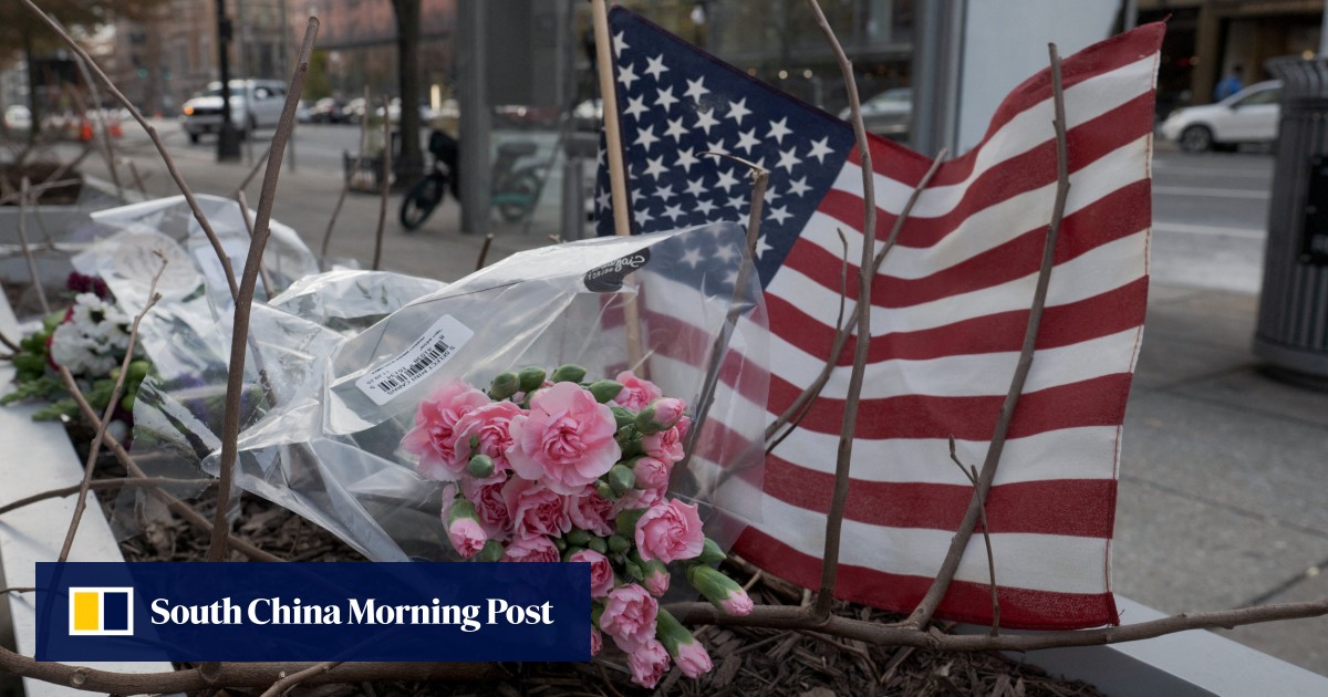 Trump admin reviewing ‘every green card’ for 19 countries after Washington shooting