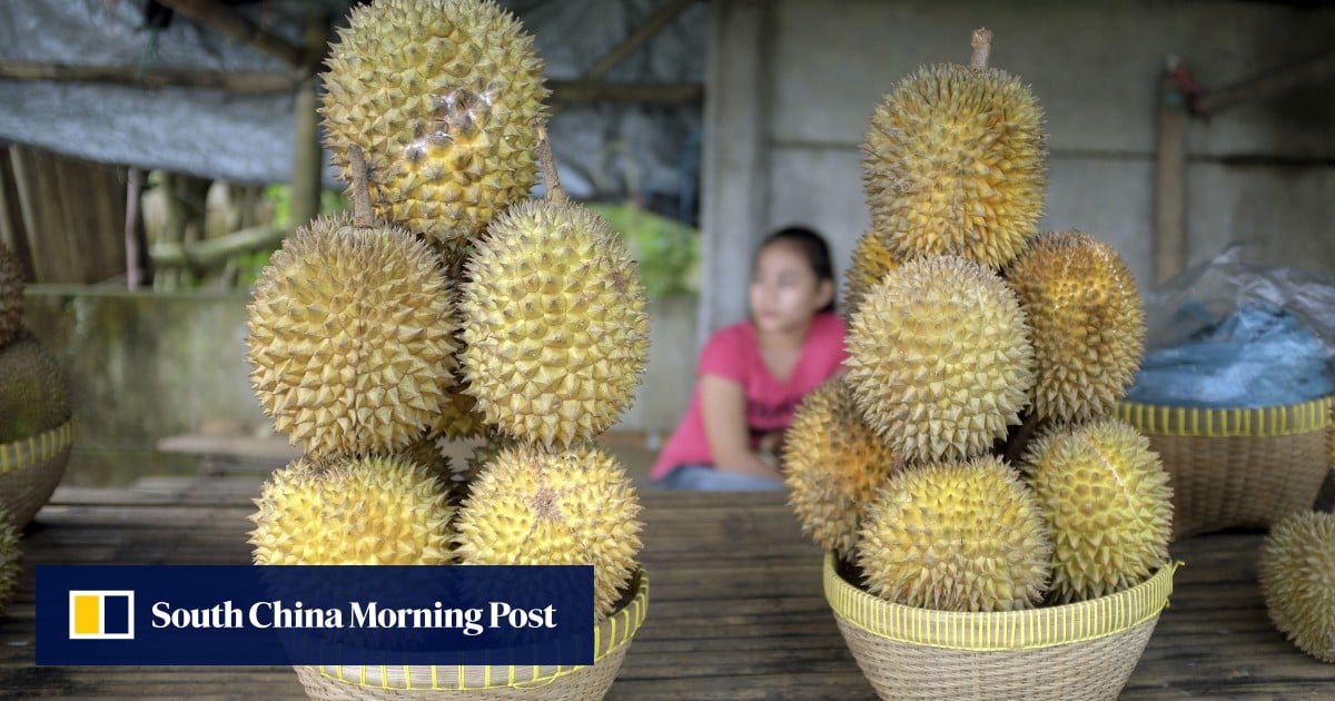 Indonesian durian sellers smell big opportunity in China, world’s largest market