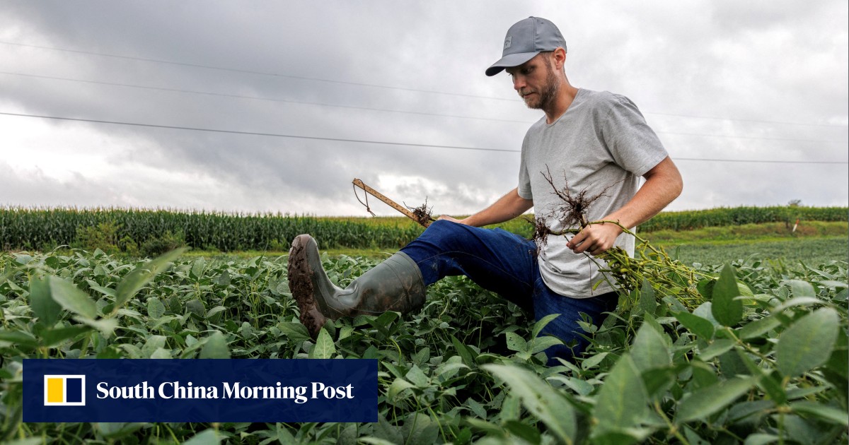 Soybean pain, Xi-Trump talks, ICE death, Hasan Piker: 7 US-China relations reads