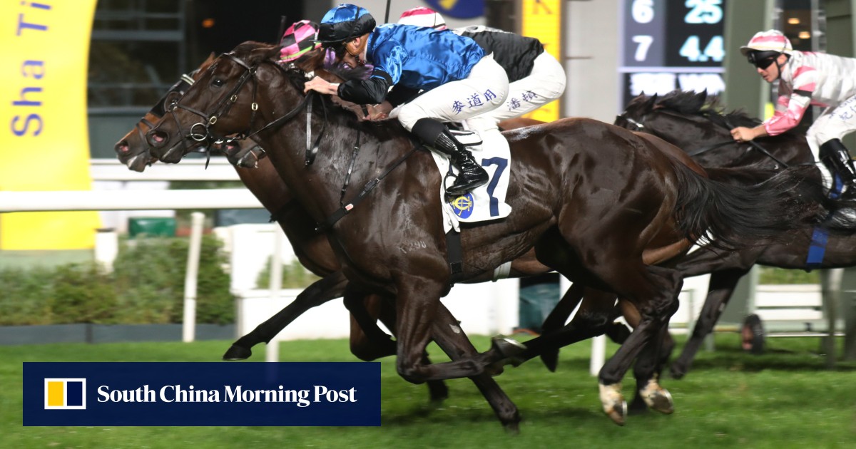 Dazzling Fit and Colourful King overcome tough draws to hand David Eustace a Sha Tin double