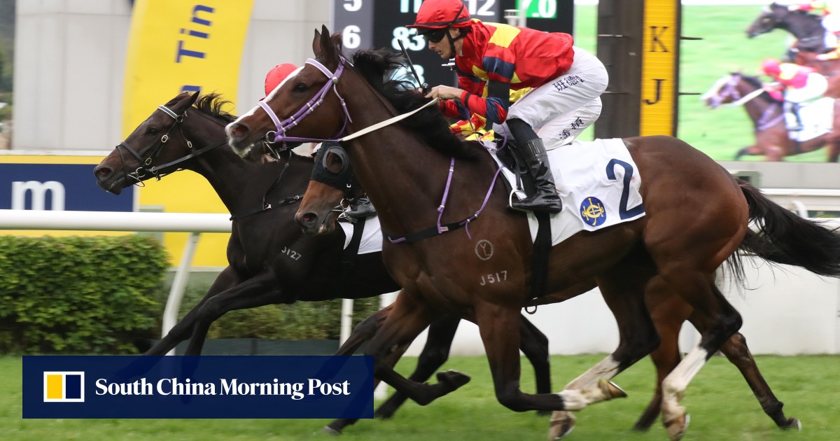 Group One tilt on the cards as Hong Lok Golf gets back on track in style at Sha Tin