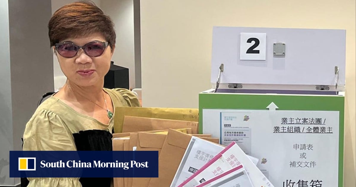 Hong Kong politician Peggy Wong files police report amid Tai Po fire scrutiny