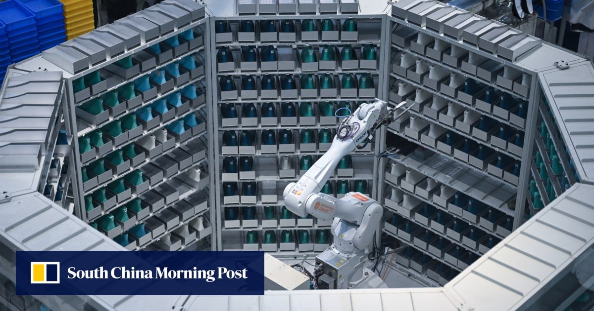 Beijing aims to harness state, private sectors to build ‘world-class firms’