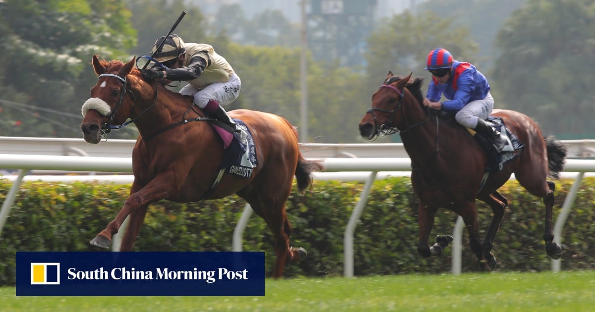 Dubai Honour withdrawn from Group One Hong Kong Vase field