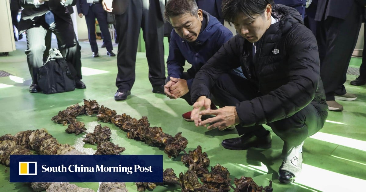 ‘Dying en masse’: Japan’s oyster farmers face ruin as waters heat up