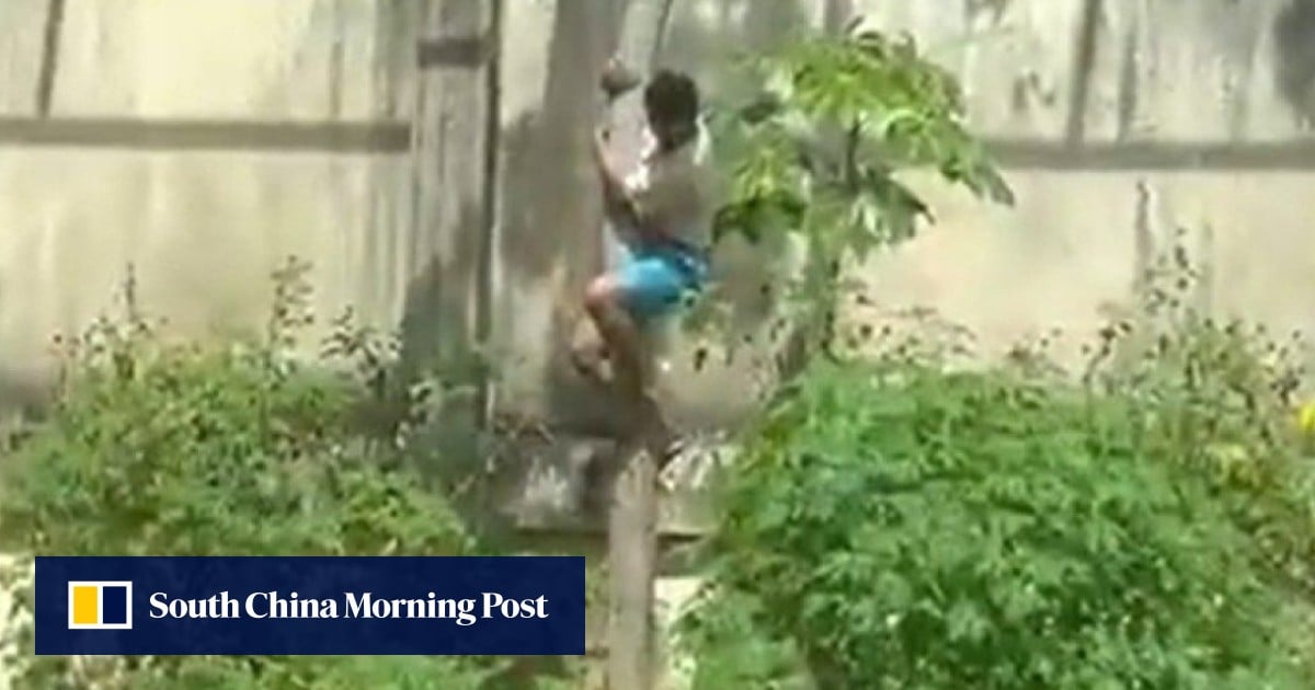 Teen mauled to death after climbing into lion enclosure at Brazil zoo