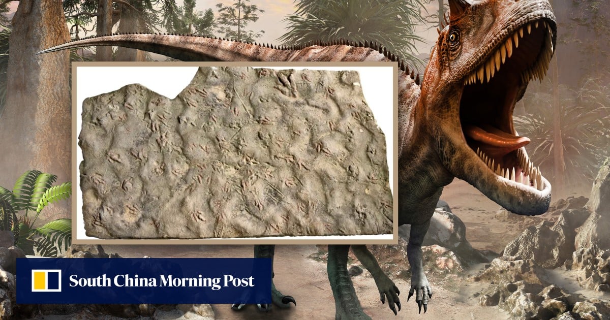China brothers shocked that rock stepping stones are 190-million-year-old dinosaur fossils