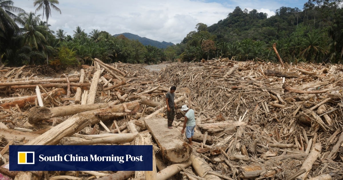 Indonesia’s cyclone tragedy exposes lethal cost of forest destruction