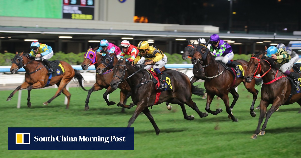 Jockey Club must think outside the box to accommodate ‘drastic oversupply’ of Class Four horses: David Hayes