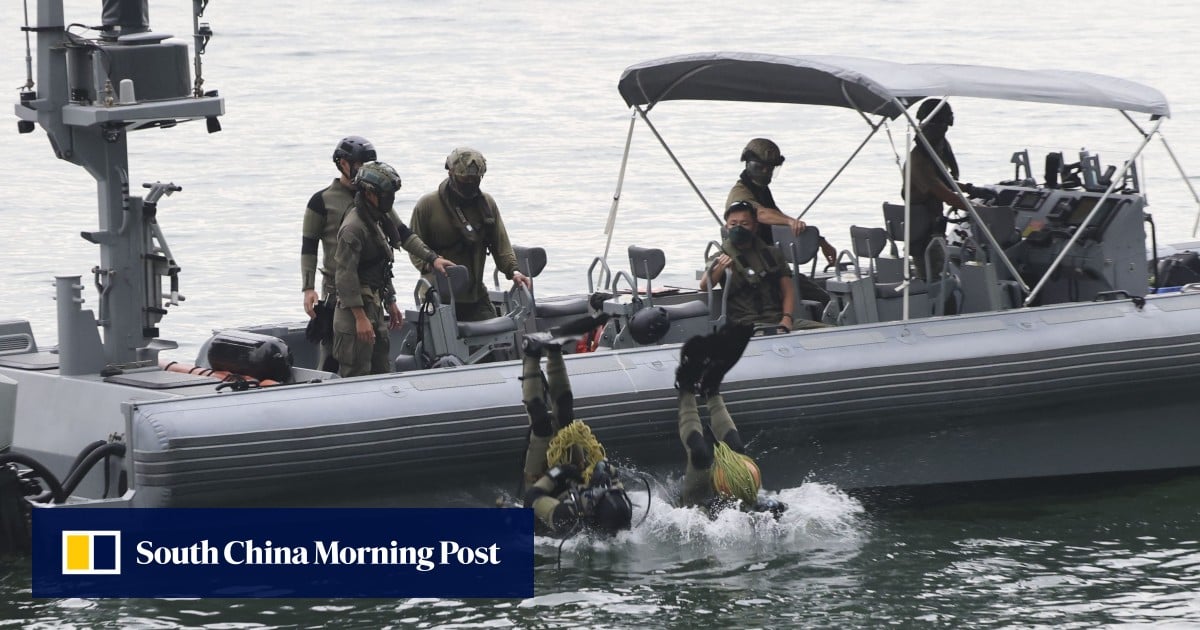 Hong Kong police officer in critical condition after ‘Flying Tigers’ diving test Hong Kong police officer in critical condition after ‘Flying Tigers’ diving test
