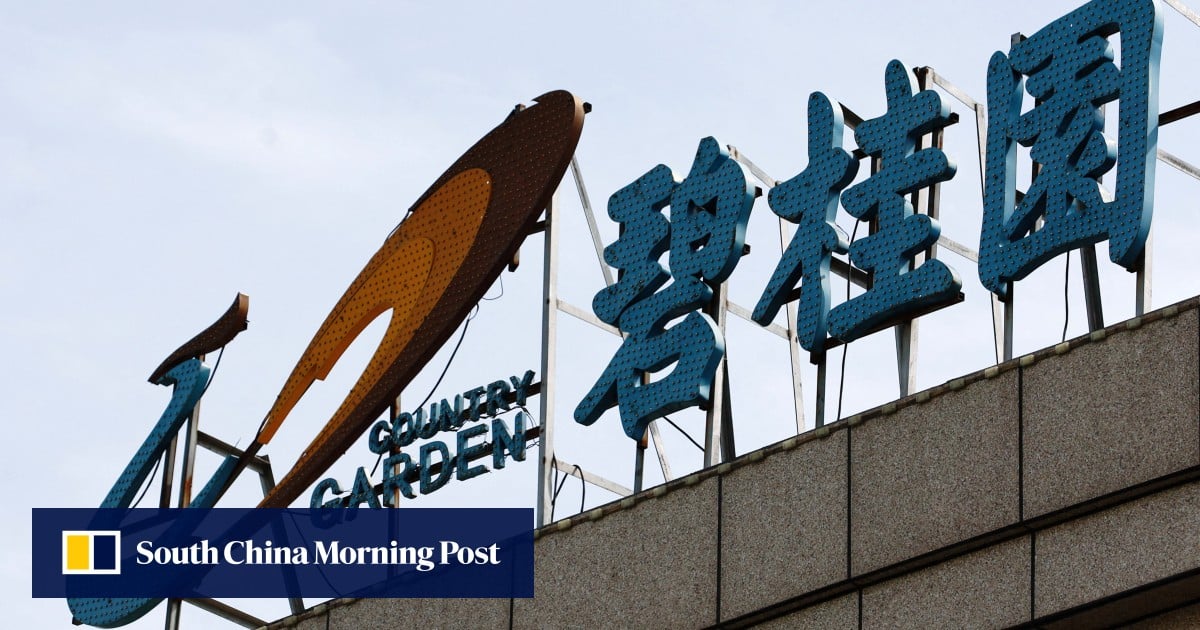 Chinese developer Country Garden gains Hong Kong court-backed debt lifeline