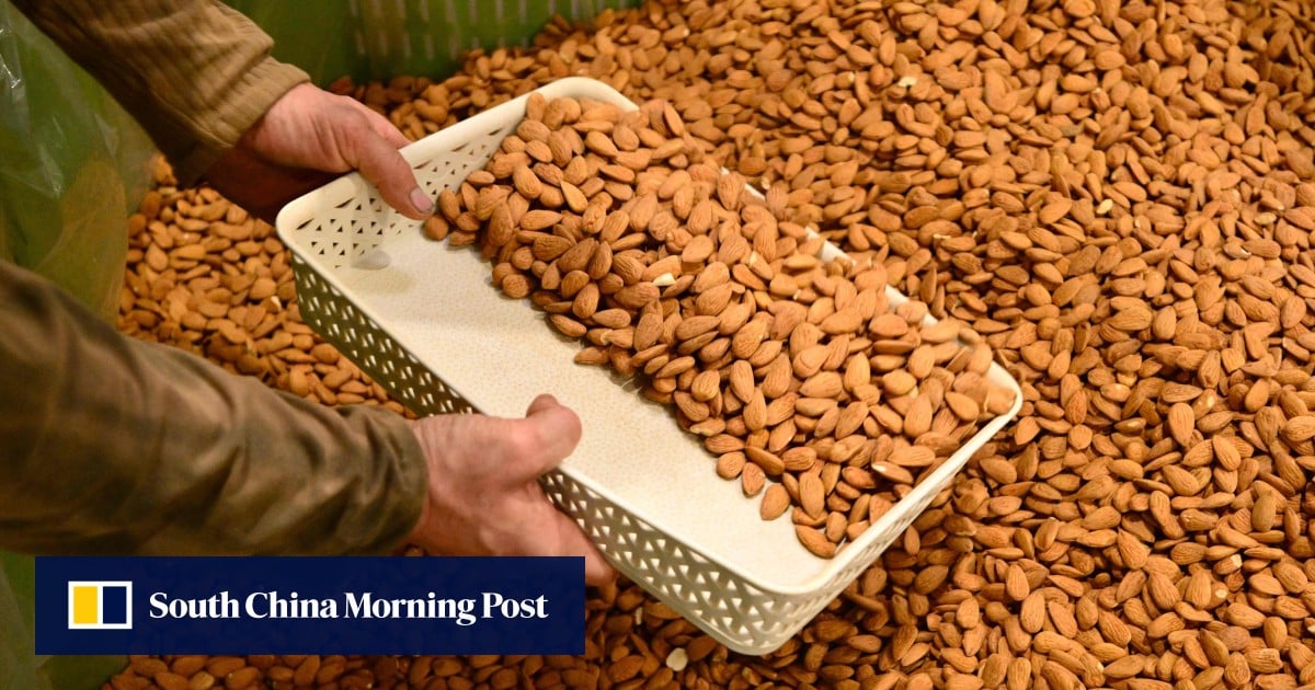 ‘You’ll notice the difference’: French almond makers take on US growers