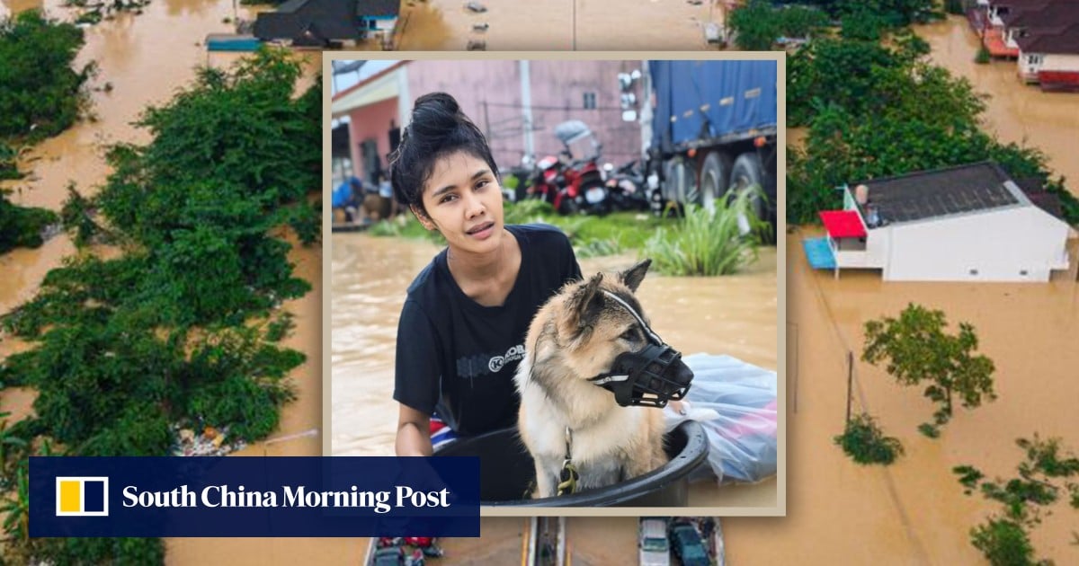 Thai woman stays on rooftop with pets during floods, refusing rescue without them