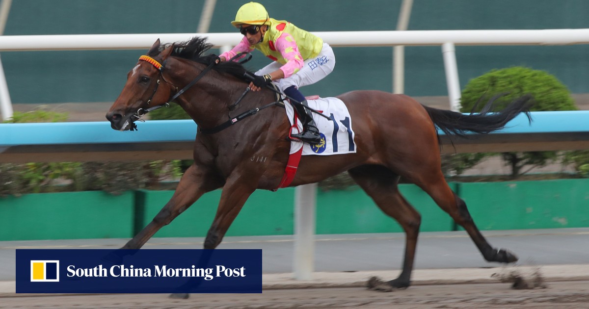 Mark Newnham eyes dirt delight with Sing Dragon and Talents Ambition in Class Two feature