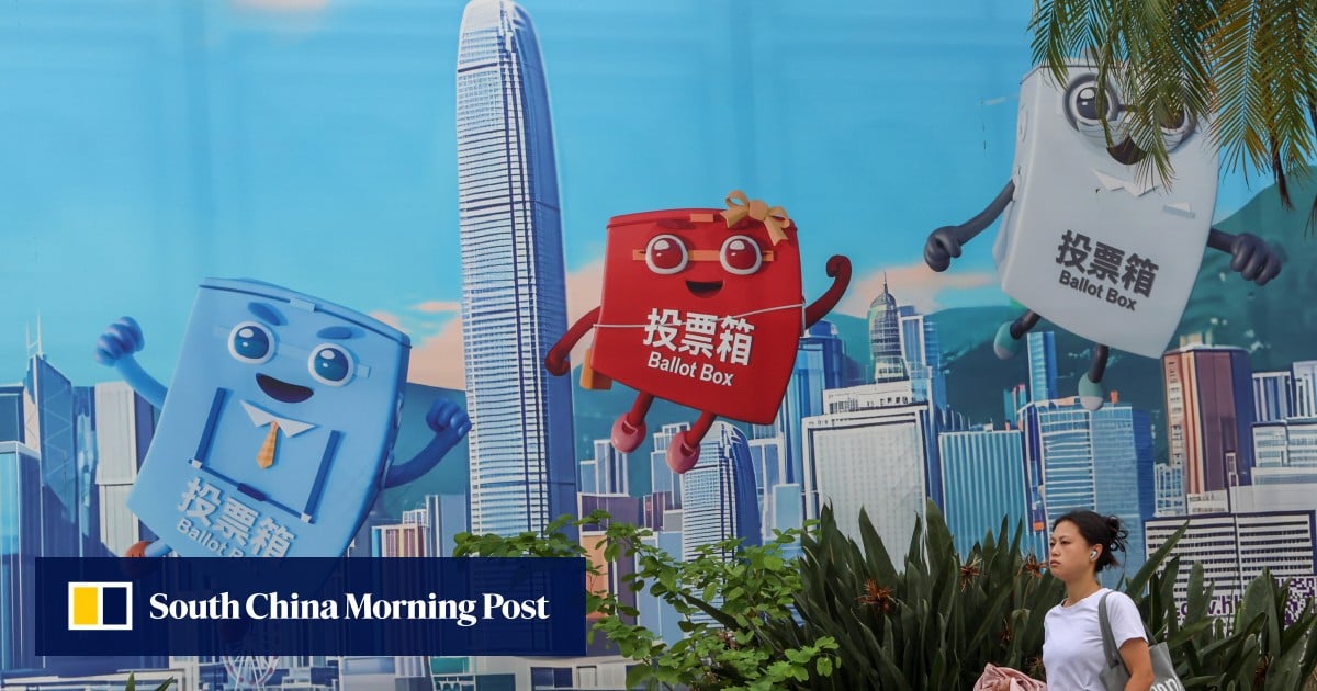 Hong Kong police arrest man for allegedly vandalising Legco election posters