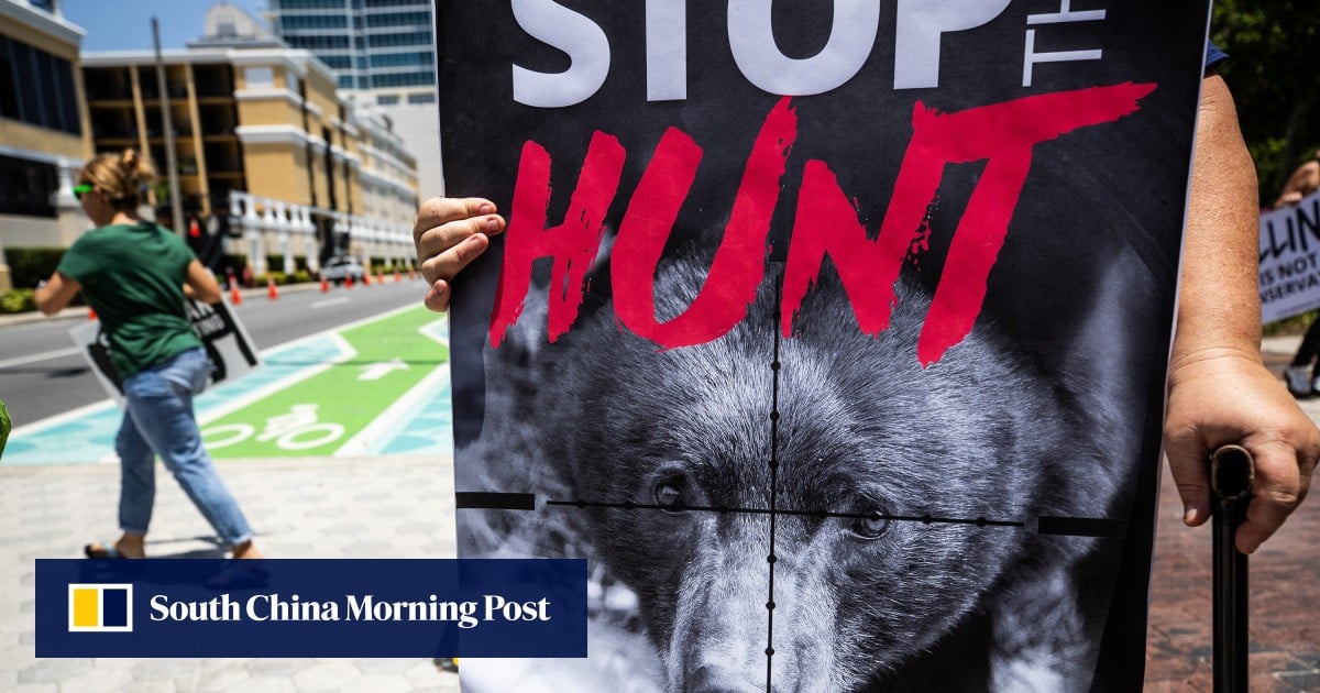 Florida kicks off first black bear hunt in a decade, despite outcry