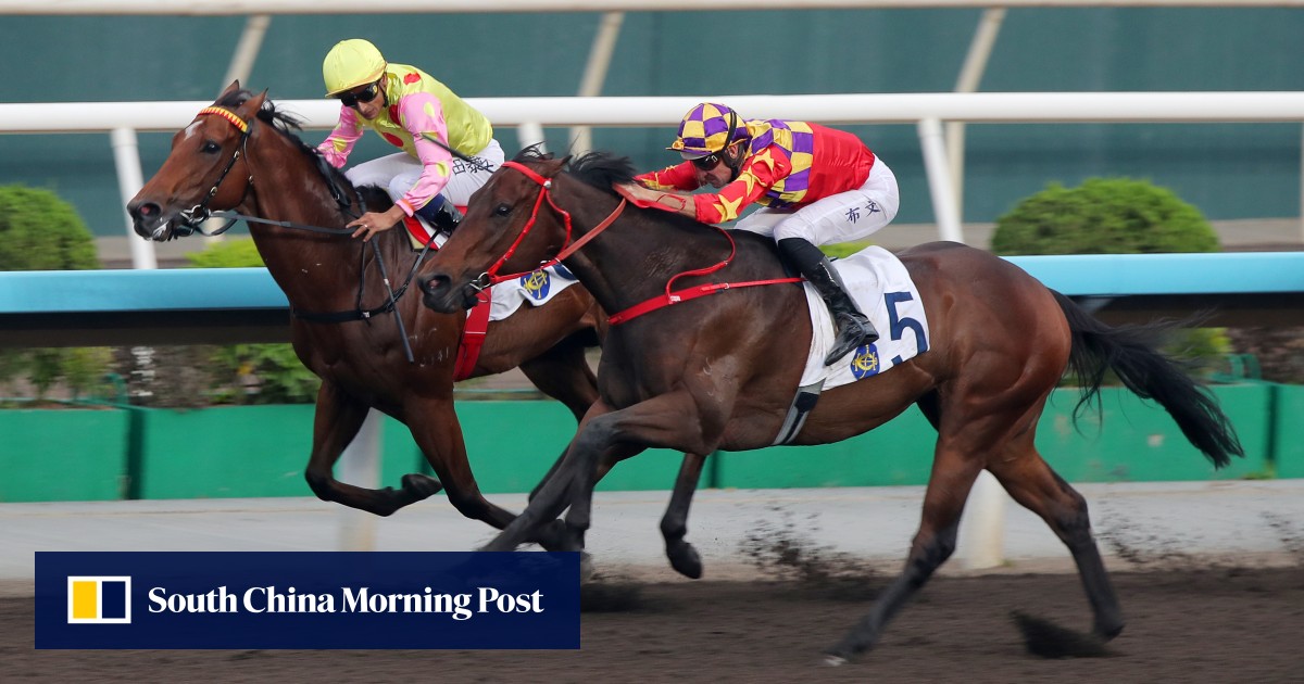 Hugh Bowman doubles up ahead of International Jockeys’ Championship as Danny Shum and John Size also snare braces