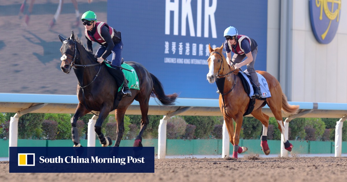 Irish runners hit the ground running ahead of Hong Kong International Races targets