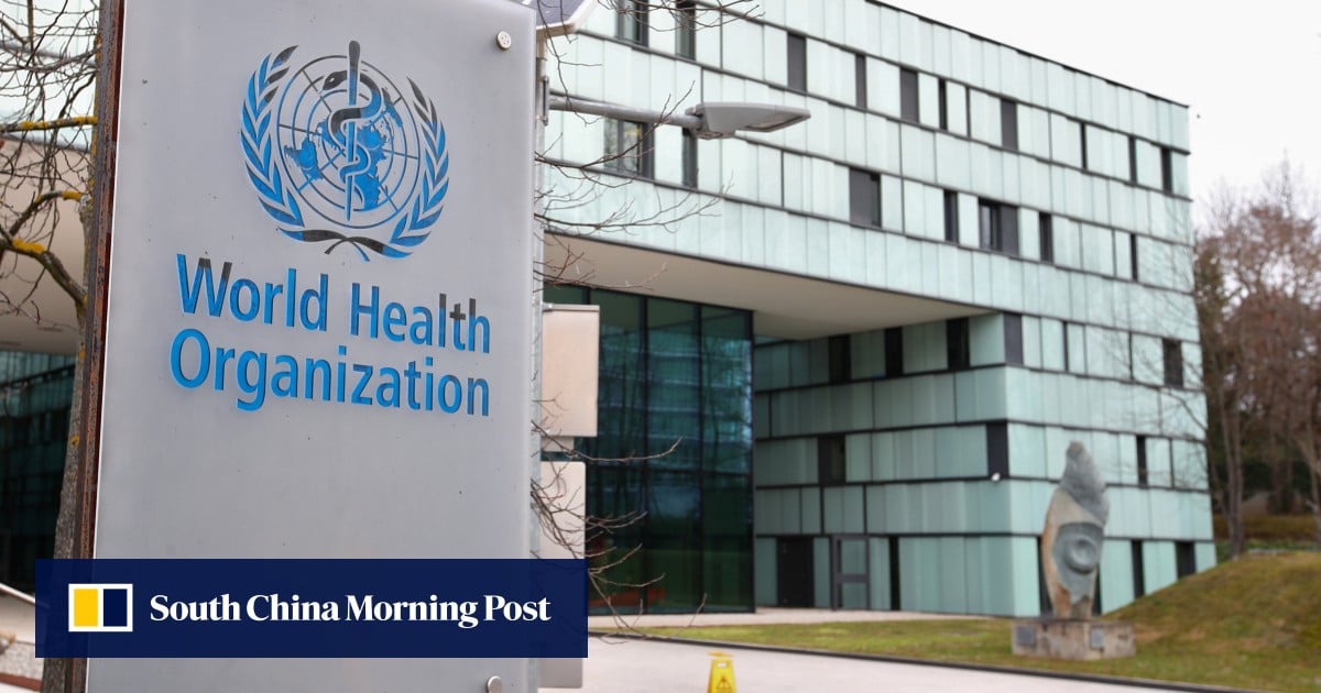 63 children among 114 dead in strikes on Sudan kindergarten, hospital: WHO