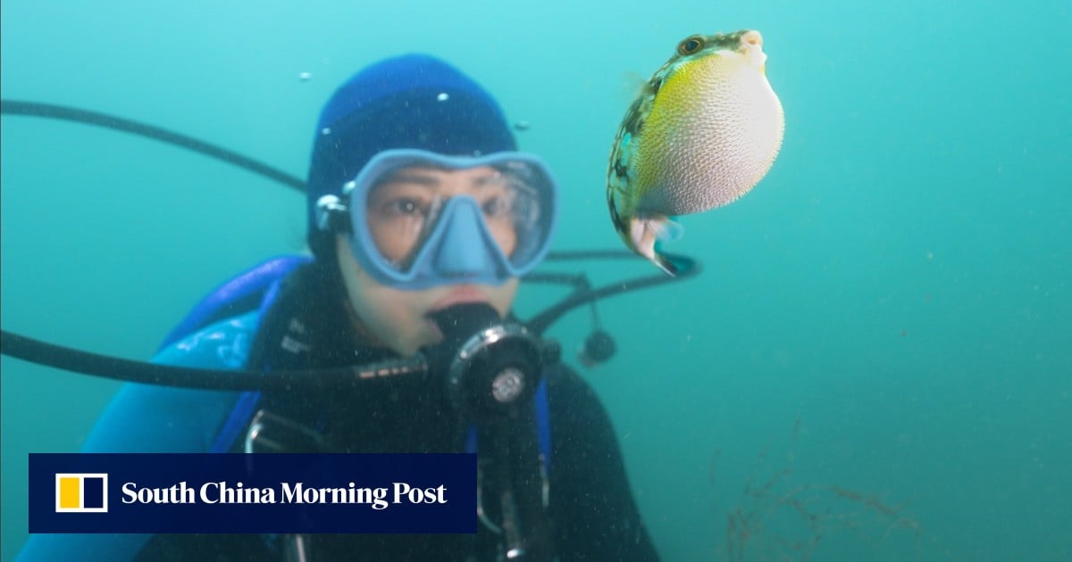 ‘We have this gift’: Hong Kong film shows healing power of city’s nature
