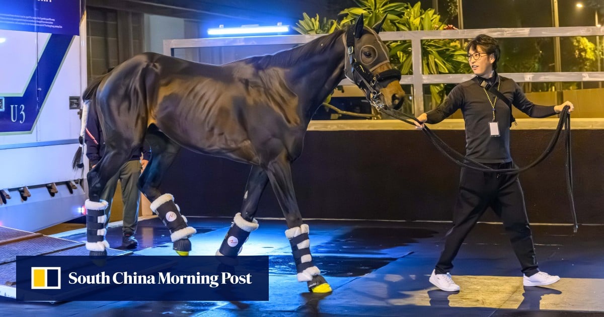 Hong Kong Cup reduced to eight runners after withdrawal of Japanese raider Lord Del Rey