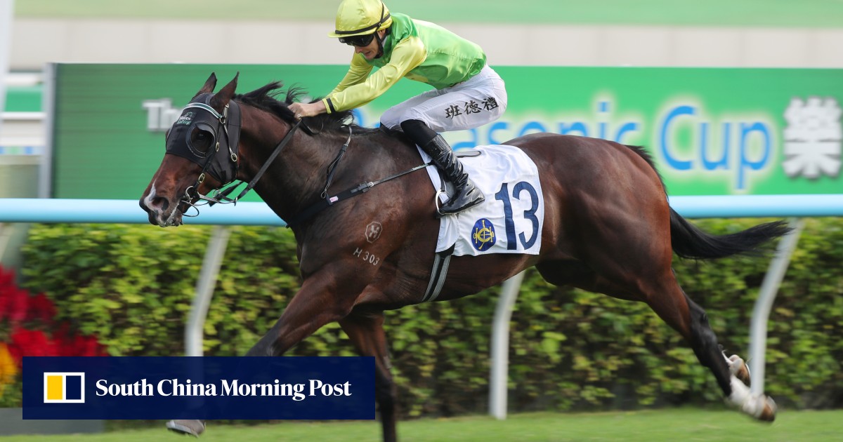 From Far North Queensland to Sha Tin: the incredible journey of Ricky Ludwig and Tomodachi Kokoroe