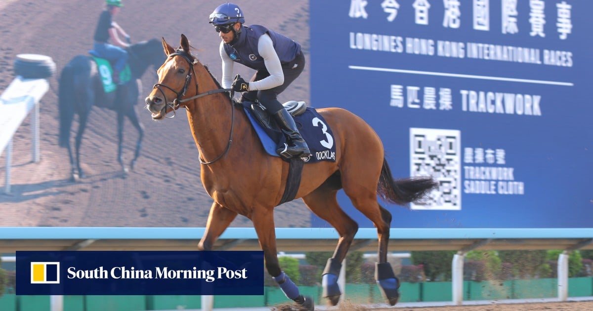 ‘Very happy’ Docklands ready for another crack at the Hong Kong Mile