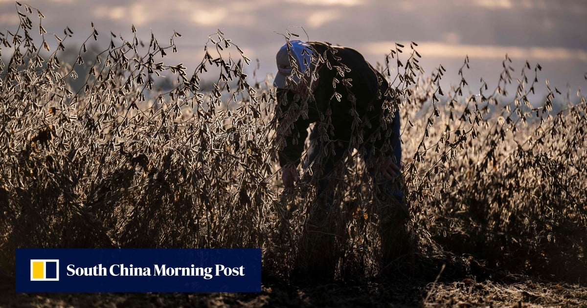 ‘A slap in the face’: some US farmers unhappy with Trump’s US$12 billion bailout