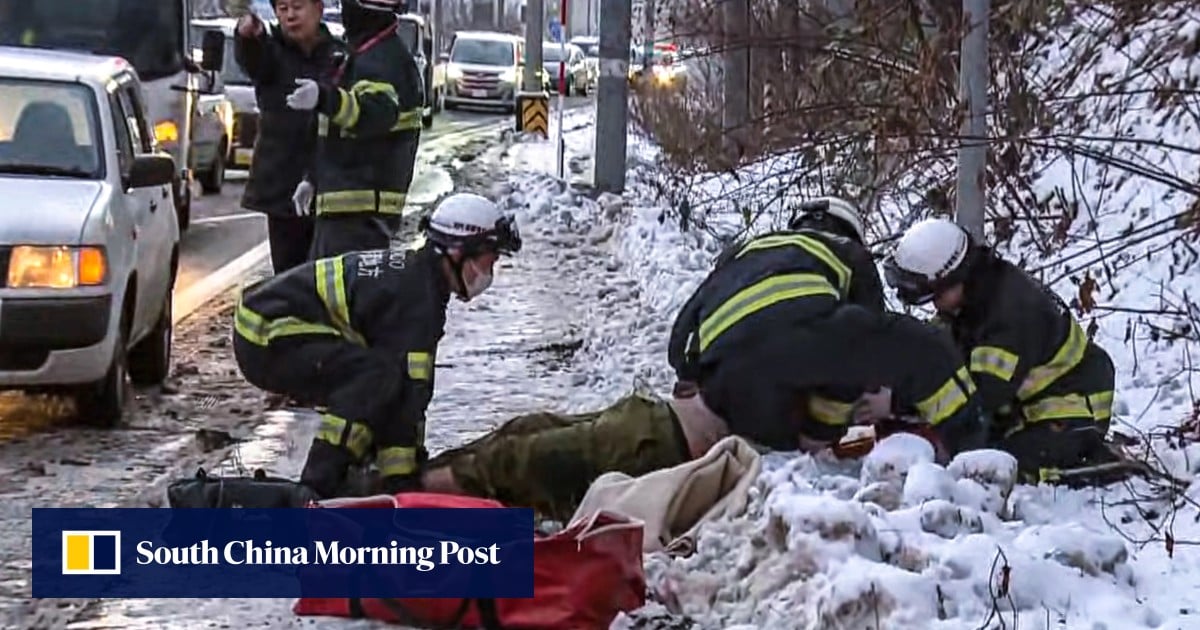 Hong Kong tourist arrested in Japan after crashing rental car, injuring driver