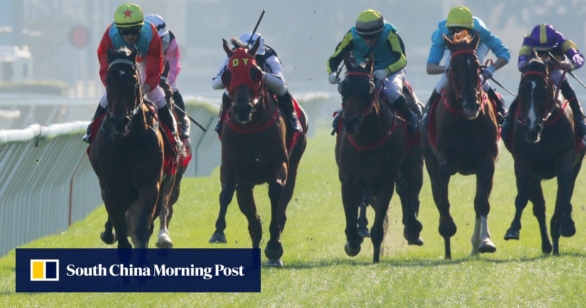 HKIR: Watch the last run of every Hong Kong Sprint runner, including Ka Ying Rising
