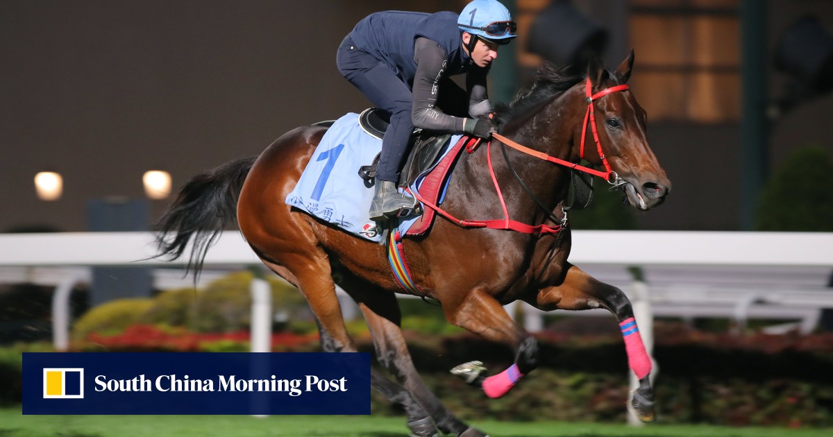HKIR: Watch the last run of every Hong Kong Cup runner, headlined by Romantic Warrior
