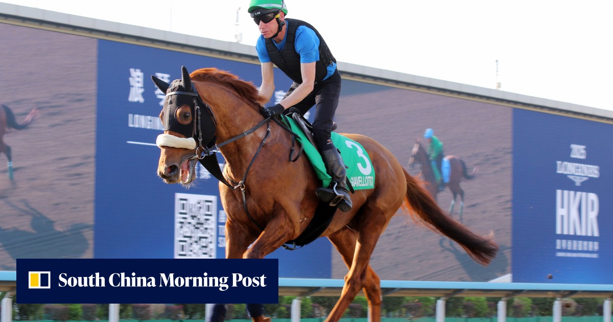 HKIR: Watch the last run of every Hong Kong Vase runner, including ...