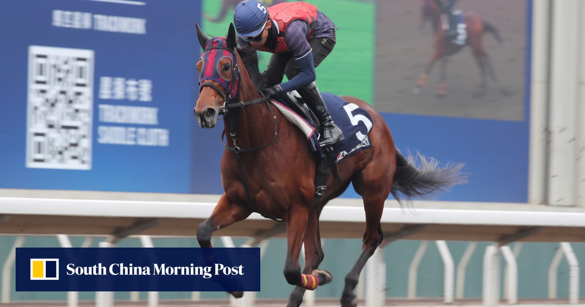 HKIR: Watch the last start of every Hong Kong Mile runner, including Japan’s Embroidery