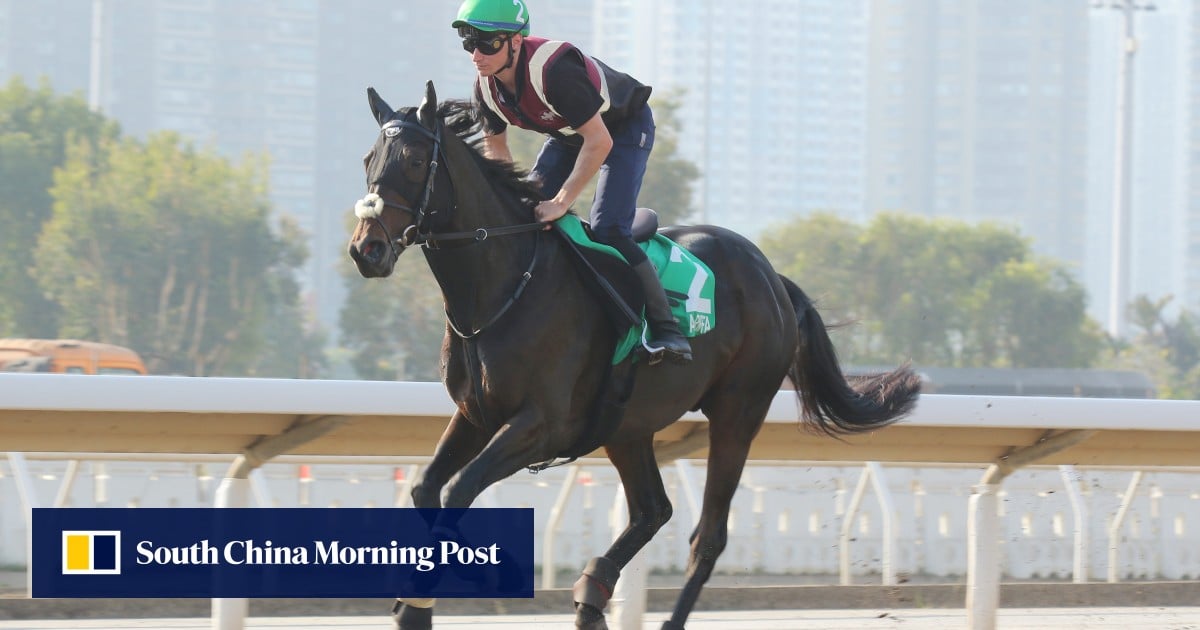 Australian Bloodstock’s bid for global Group One glory leads to Hong Kong Vase tilt with Al Riffa