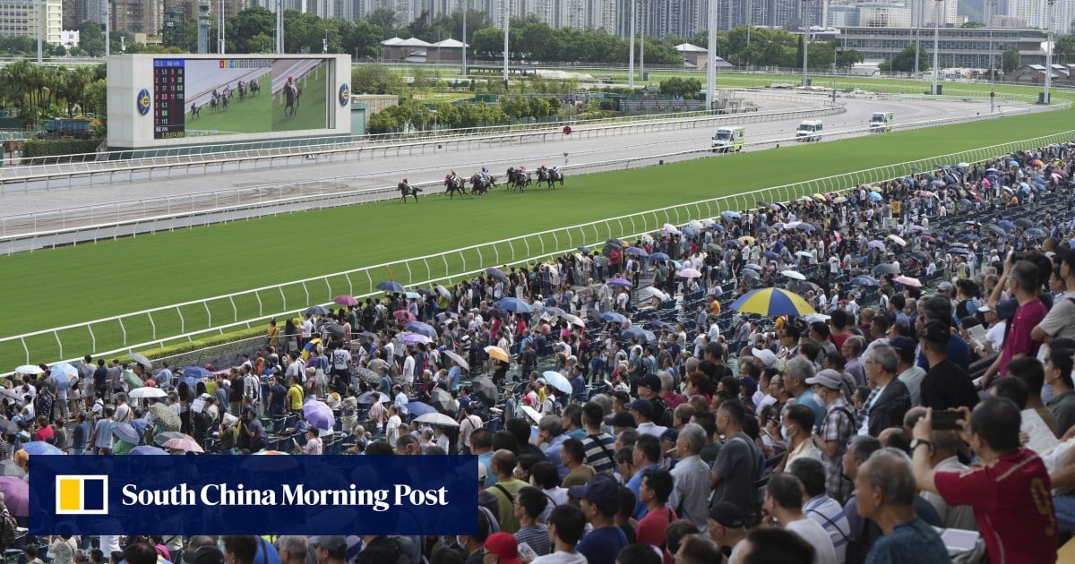 Hong Kong heavyweights headline action-packed international day at Sha Tin