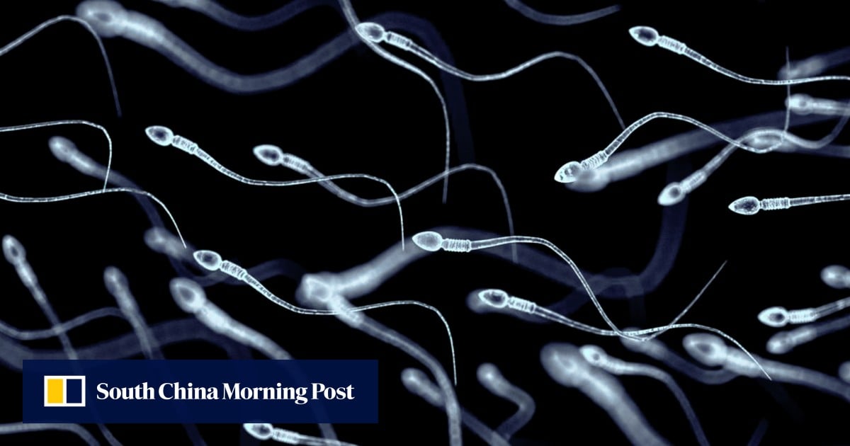 Sperm quality declining worldwide: could easy-to-use Chinese balm solve the crisis?