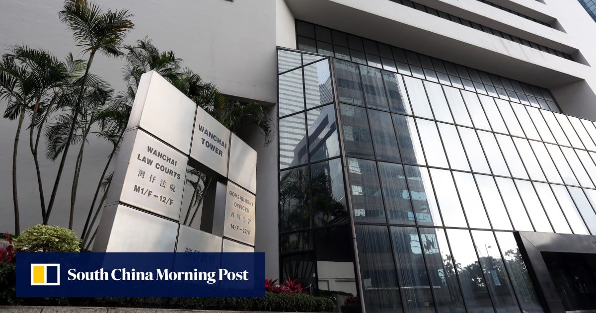 Boy, 16, jailed for 3½ years for joining Hong Kong pro-independence group in Taiwan