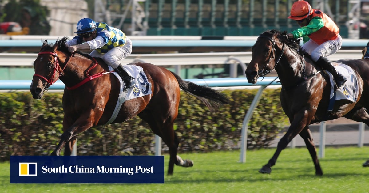 Zac Purton hopes emerging Patch Of Stars continues his meteoric rise at ...