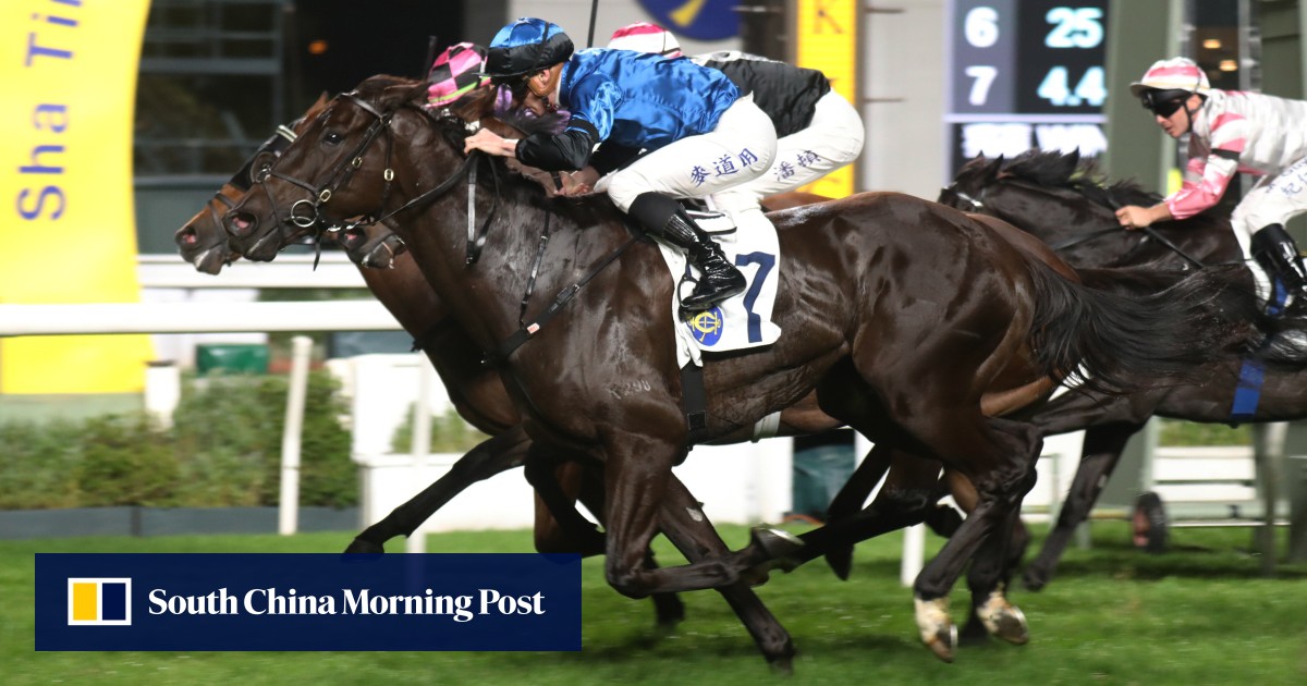 David Eustace is excited to test Dazzling Fit against ‘the stand-out’ Classic Series contender