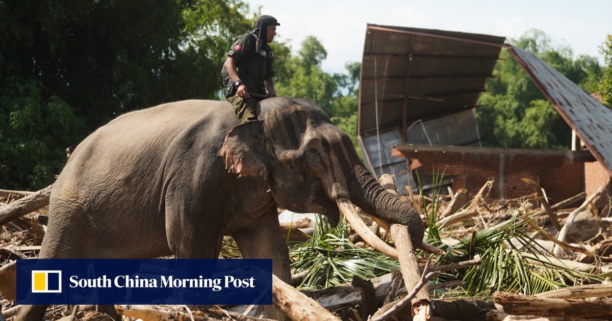 Southeast Asian floods set to threaten more wildlife due to climate change
