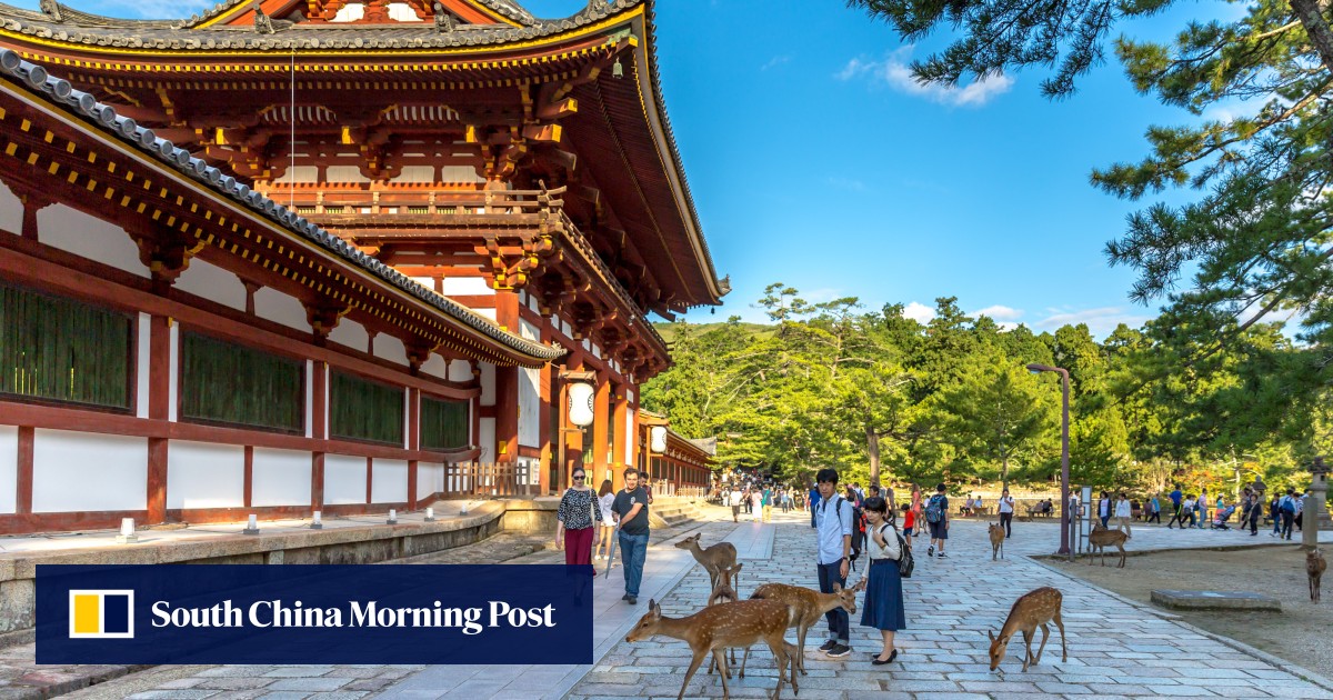 Best things to do in Nara, Japanese city that’s more than just an Osaka or Kyoto side trip