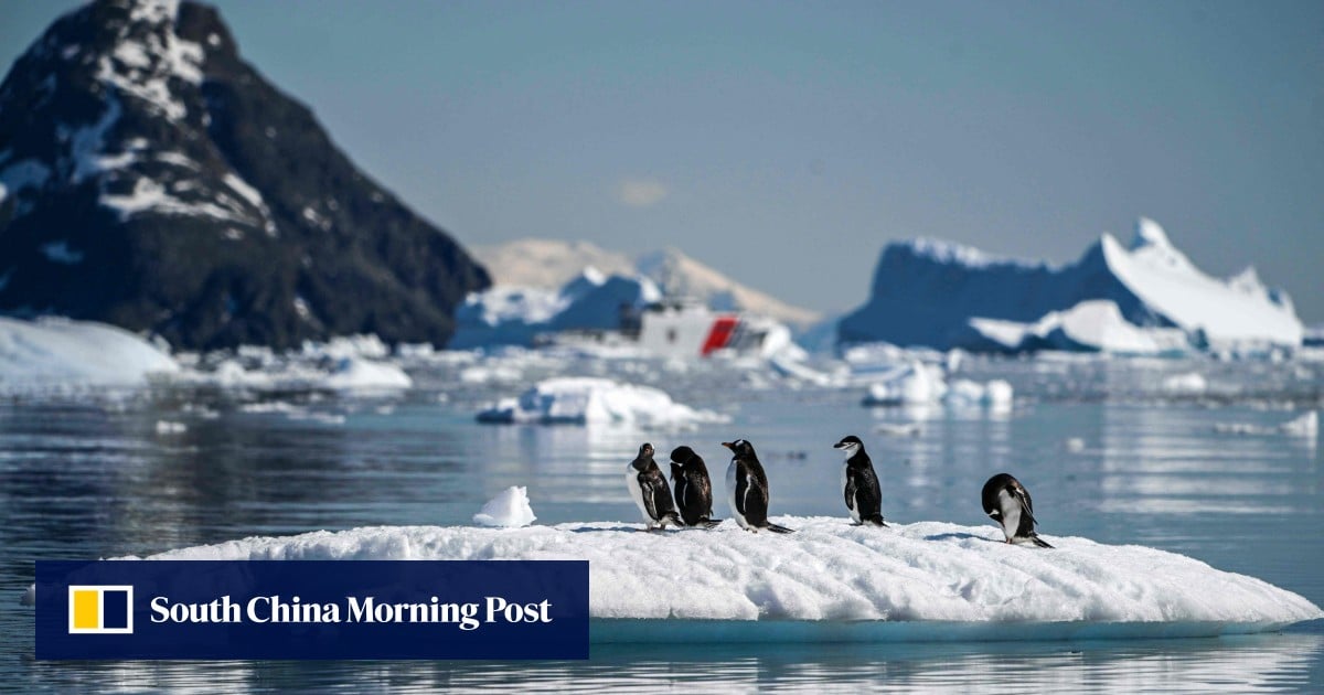 China drafts law on activities and environment protection in Antarctica