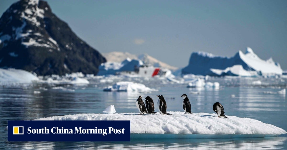 China drafts Antarctica activities and environment law to protect national ...